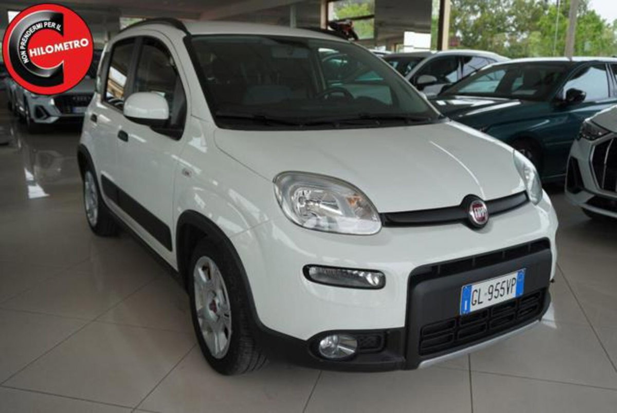 Fiat Panda 1.0 firefly hybrid s&s 70cv 5p.ti (2)