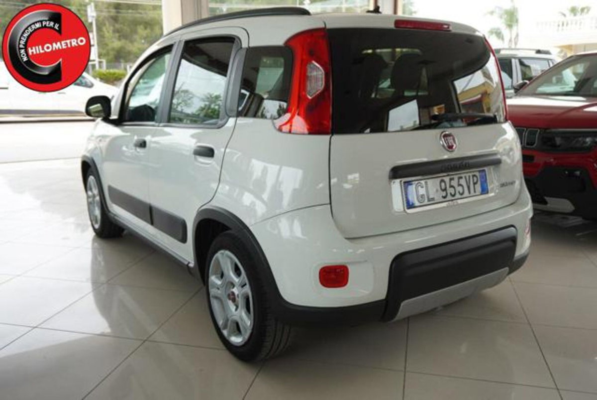 Fiat Panda 1.0 firefly hybrid s&s 70cv 5p.ti (4)