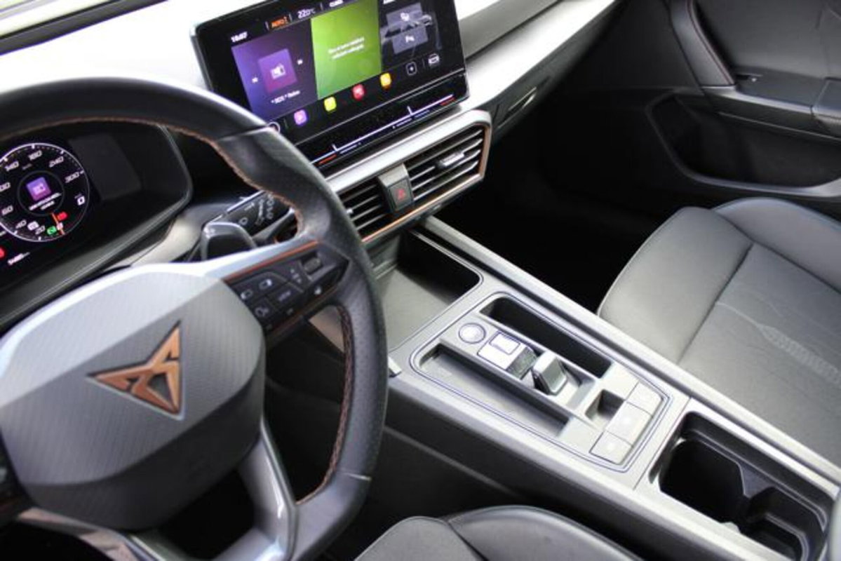 Cupra Leon Station Wagon Leon Sportstourer 2.0 tdi 4drive 150cv dsg (10)