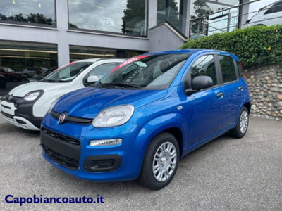 Fiat Panda 1.0 firefly hybrid s&s 70cv 5p.ti nuova