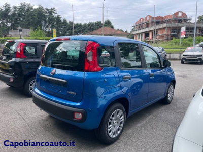 Fiat Panda 1.0 firefly hybrid s&s 70cv 5p.ti (4)