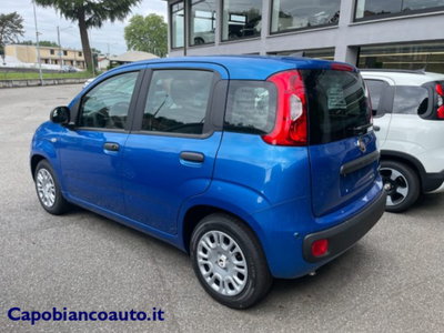 Fiat Panda 1.0 firefly hybrid s&s 70cv 5p.ti (6)