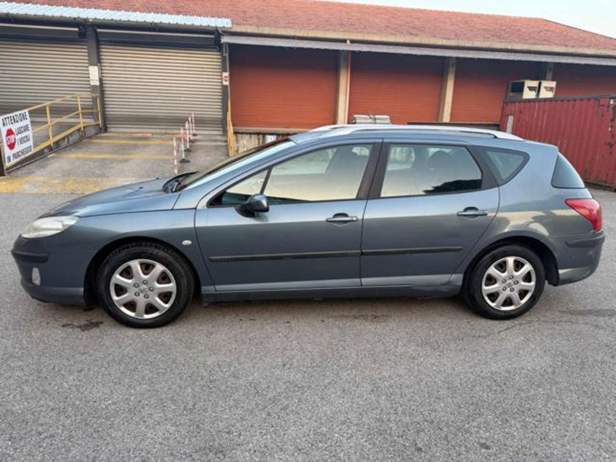 Peugeot 407 SW 1.6 HDi Premium (14)