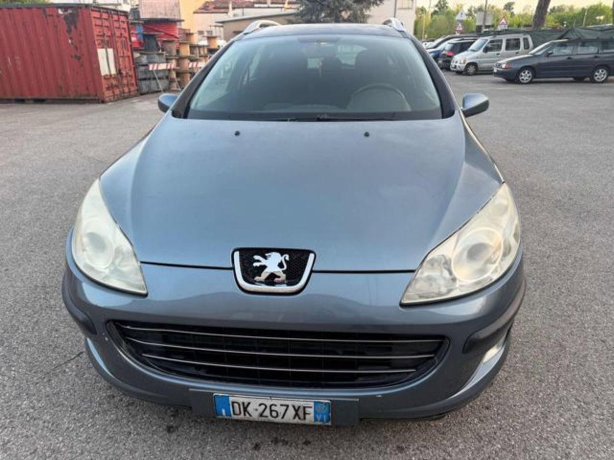 Peugeot 407 SW 1.6 HDi Premium (19)