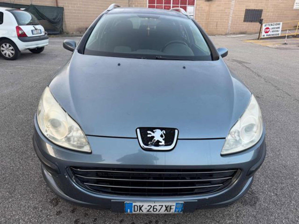 Peugeot 407 SW 1.6 HDi Premium (2)