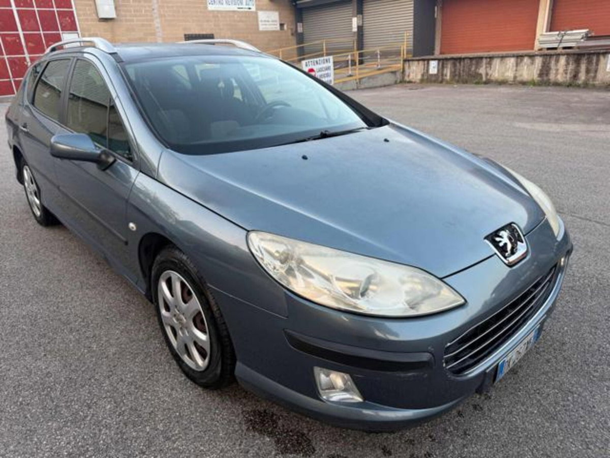 Peugeot 407 SW 1.6 HDi Premium (3)