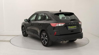 Ford Kuga 1.5 EcoBlue 120 CV 2WD ST-Line (3)