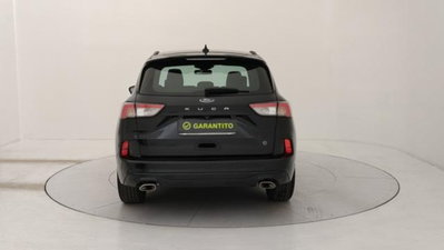 Ford Kuga 1.5 EcoBlue 120 CV 2WD ST-Line (4)