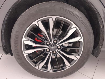Ford Kuga 1.5 EcoBlue 120 CV 2WD ST-Line (9)