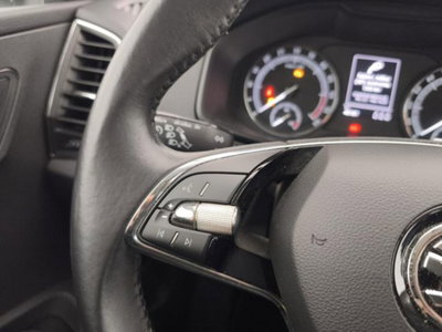 Skoda Karoq 2.0 tdi Executive 4x4 150cv dsg (14)