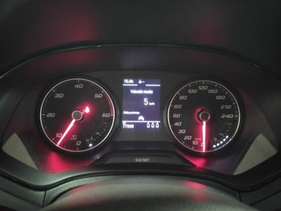 SEAT Ibiza 1.6 TDI 95 CV 5 porte Business (18)