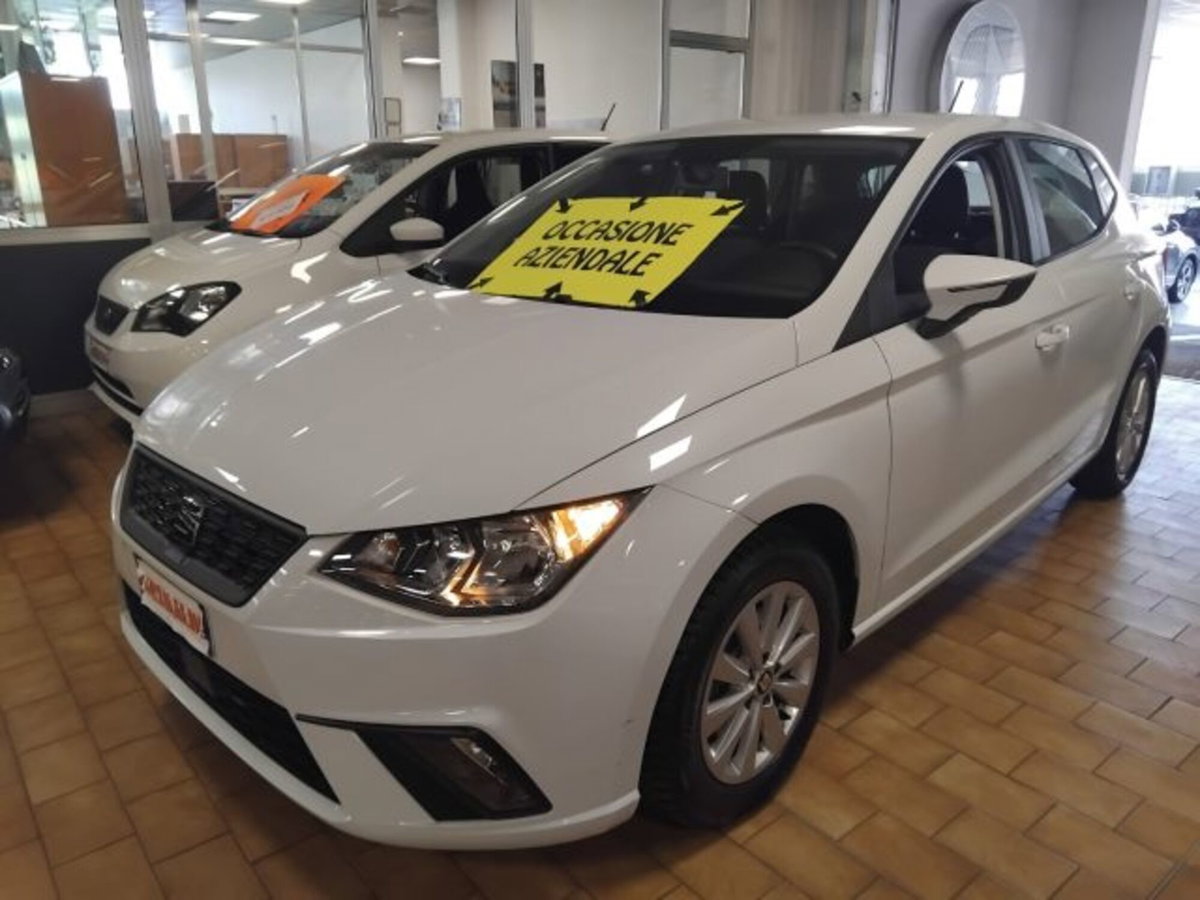 SEAT Ibiza 1.6 TDI 95 CV 5 porte Business (3)