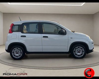 Fiat Panda 1.0 firefly hybrid s&s 70cv 5p.ti (4)