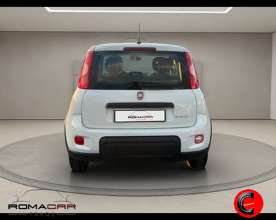 Fiat Panda 1.0 firefly hybrid s&s 70cv 5p.ti (5)