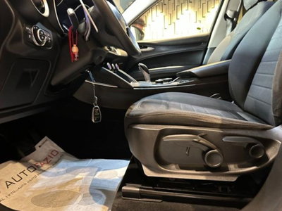 Alfa Romeo Stelvio Stelvio 2.2 Turbodiesel 190 CV AT8 RWD B-Tech (20)
