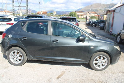 SEAT Ibiza 1.6 TDI CR DPF 5 porte Style (5)