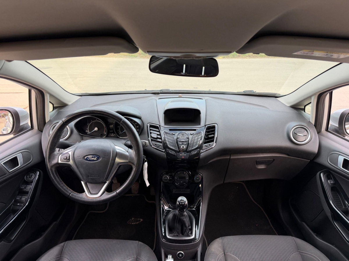 Ford Fiesta 1.4 5 porte Bz.- GPL Black & White Edition (12)