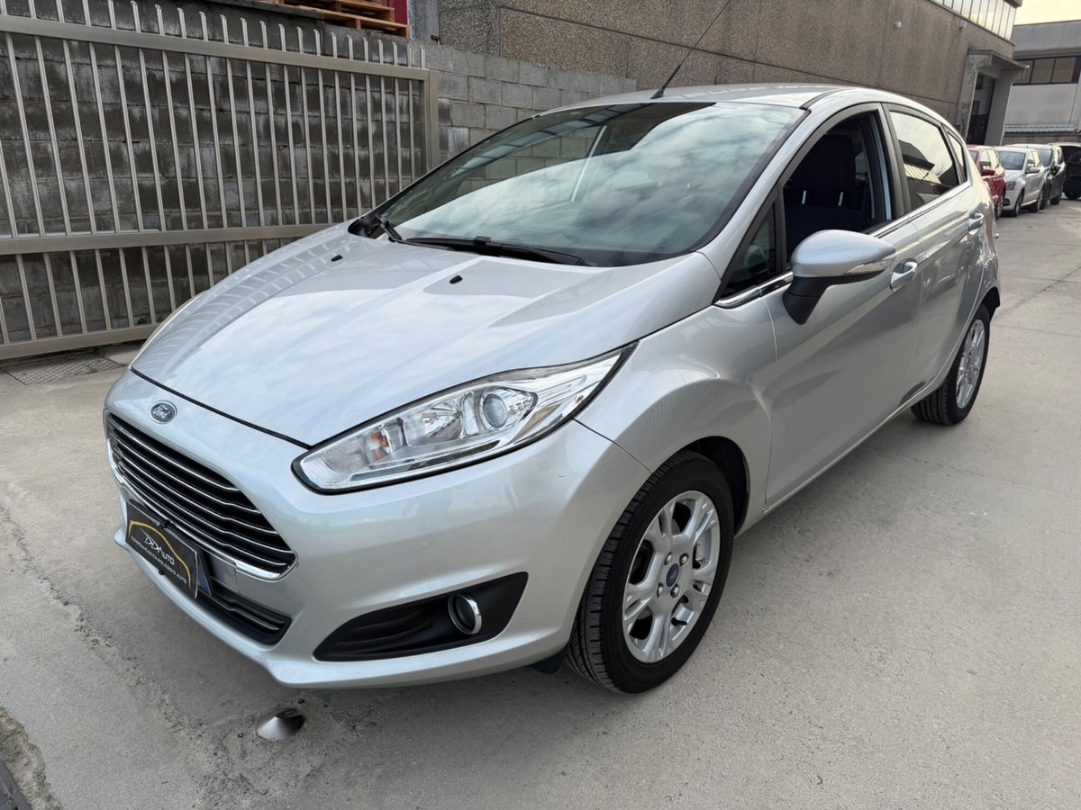 Ford Fiesta 1.4 5 porte Bz.- GPL Black & White Edition (2)