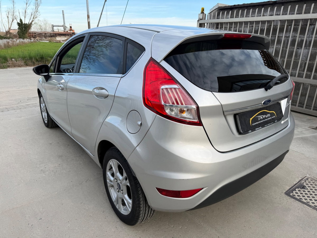 Ford Fiesta 1.4 5 porte Bz.- GPL Black & White Edition (4)