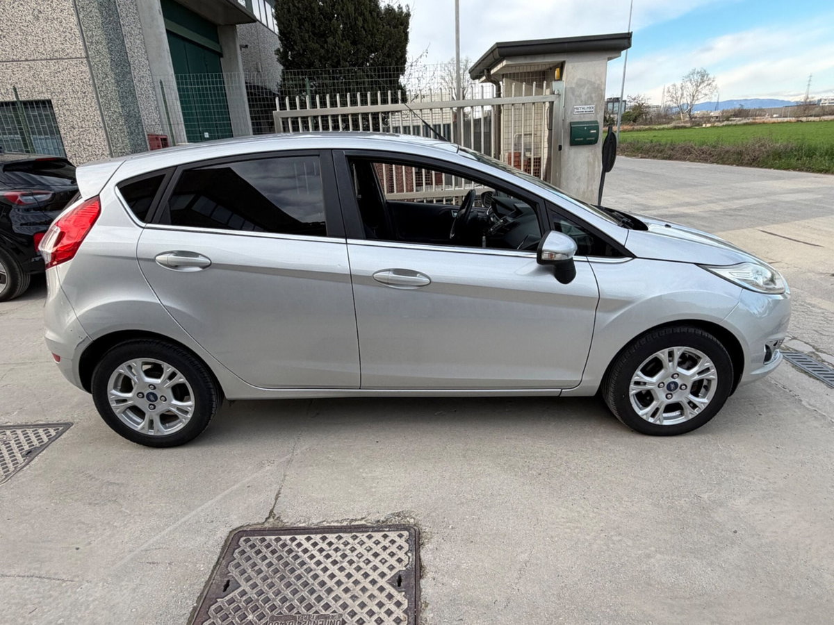 Ford Fiesta 1.4 5 porte Bz.- GPL Black & White Edition (5)