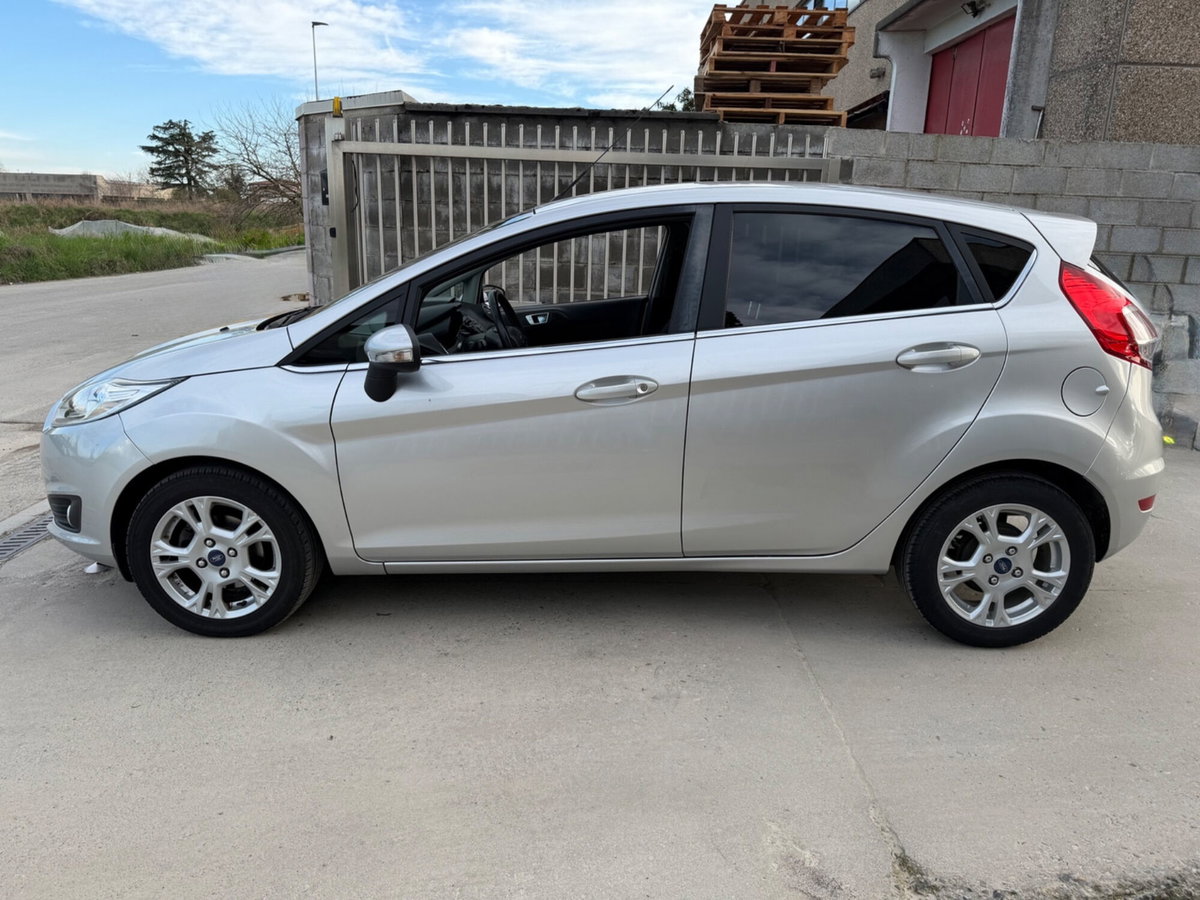 Ford Fiesta 1.4 5 porte Bz.- GPL Black & White Edition (6)