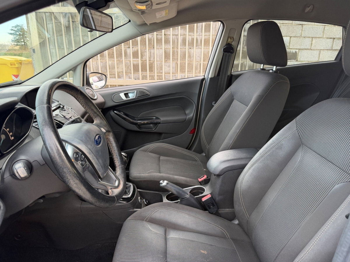 Ford Fiesta 1.4 5 porte Bz.- GPL Black & White Edition (7)
