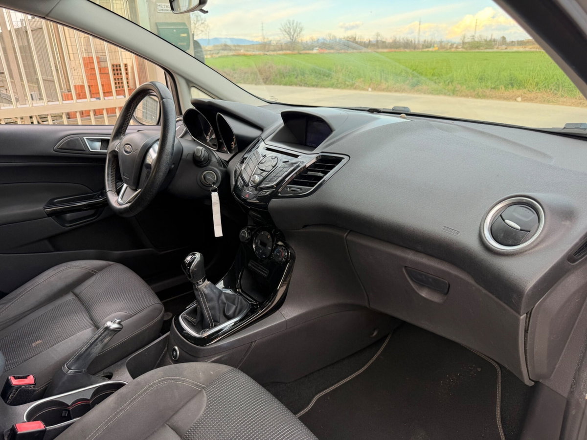 Ford Fiesta 1.4 5 porte Bz.- GPL Black & White Edition (8)