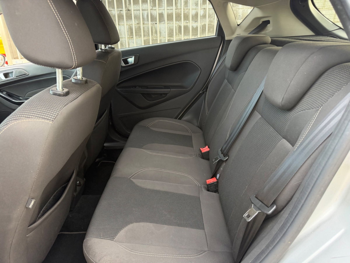 Ford Fiesta 1.4 5 porte Bz.- GPL Black & White Edition (9)