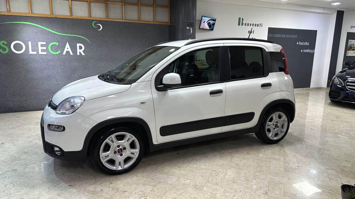 Fiat Panda 1.0 FireFly S&S Hybrid City Cross (3)