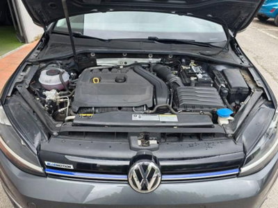 Volkswagen Golf Variant 1.5 TGI DSG 5p. Trendline BlueMotion Tech. (16)