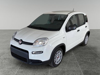 Fiat Panda Cross Cross 1.0 FireFly S&S Hybrid usata