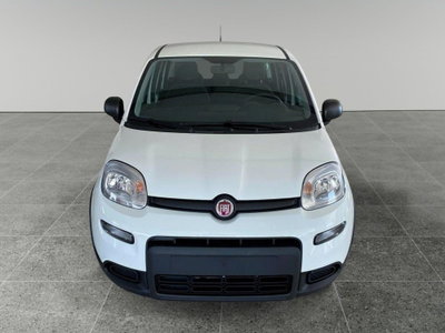 Fiat Panda Cross Cross 1.0 FireFly S&S Hybrid (2)