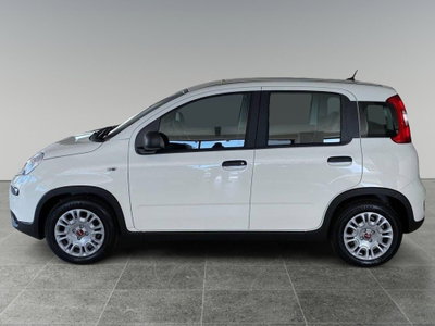Fiat Panda Cross Cross 1.0 FireFly S&S Hybrid (3)
