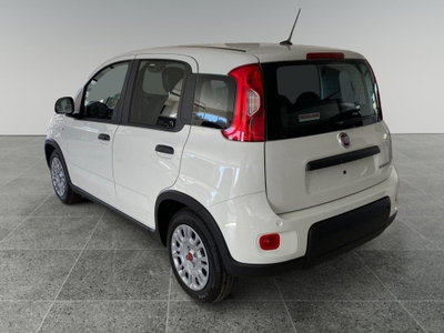 Fiat Panda Cross Cross 1.0 FireFly S&S Hybrid (4)
