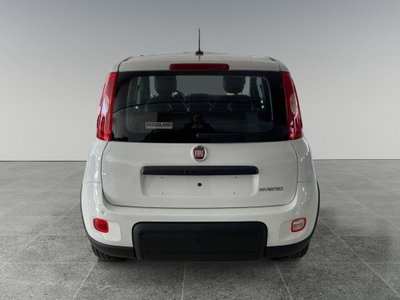 Fiat Panda Cross Cross 1.0 FireFly S&S Hybrid (5)