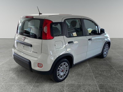 Fiat Panda Cross Cross 1.0 FireFly S&S Hybrid (6)