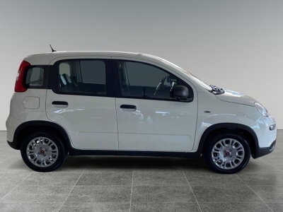 Fiat Panda Cross Cross 1.0 FireFly S&S Hybrid (7)