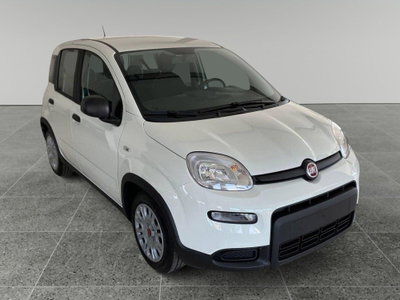 Fiat Panda Cross Cross 1.0 FireFly S&S Hybrid (8)