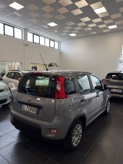 Fiat Panda Cross Cross 1.0 FireFly S&S Hybrid (2)