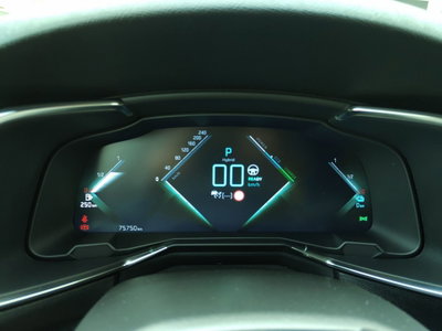Ds DS 7 DS 7 Crossback E-Tense 4x4 Business (8)