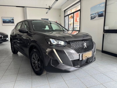 Peugeot 2008 BlueHDi 110 S&S Active (3)