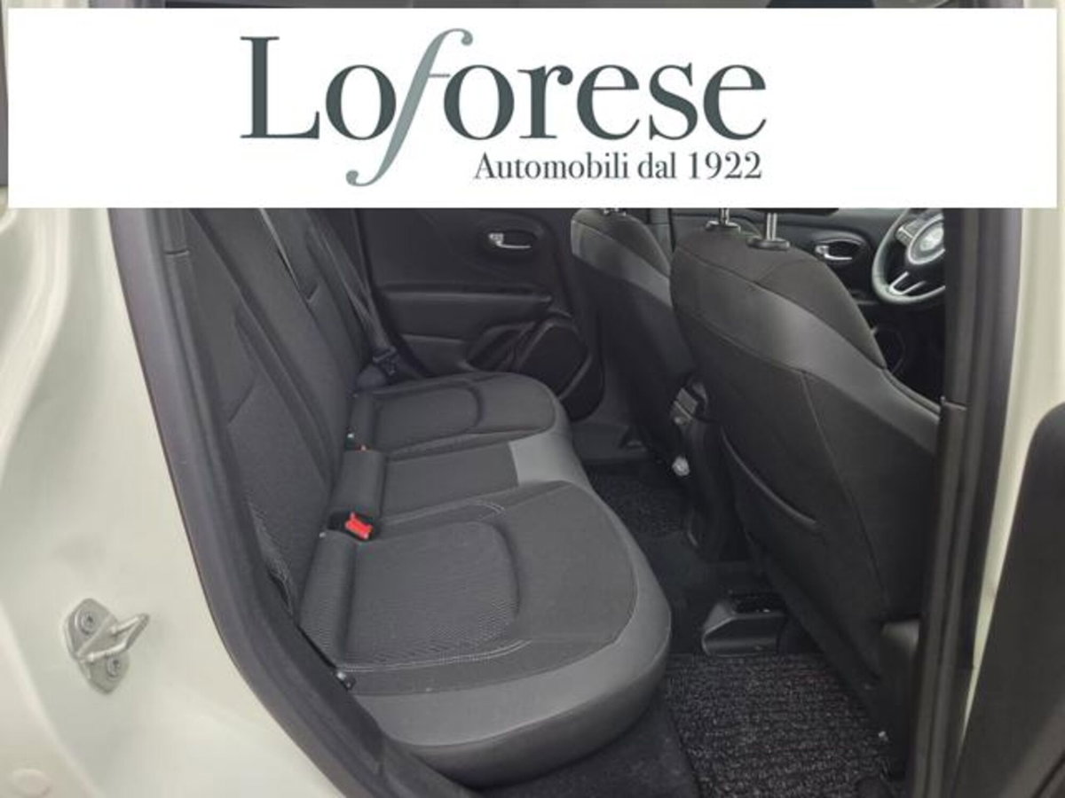 Jeep Renegade 1.3 T4 DDCT Limited (10)
