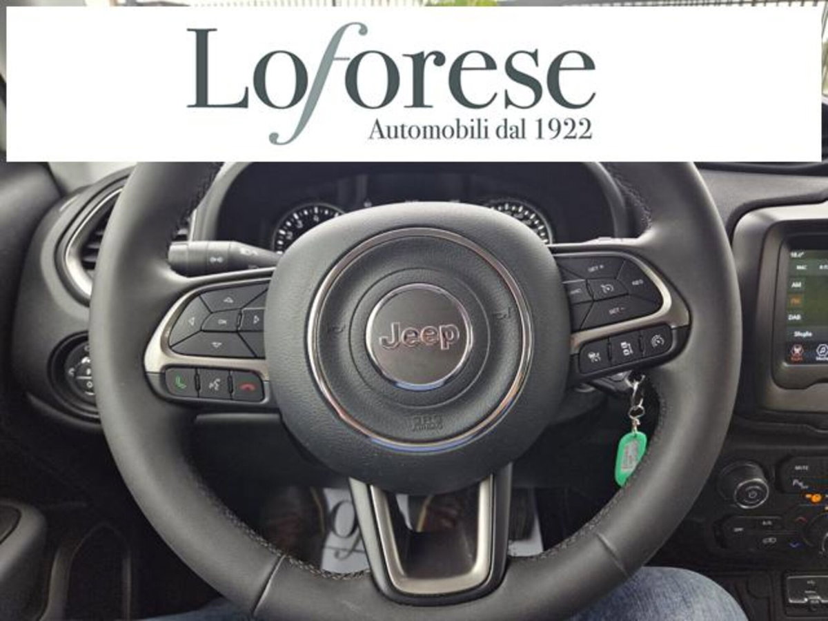 Jeep Renegade 1.3 T4 DDCT Limited (13)