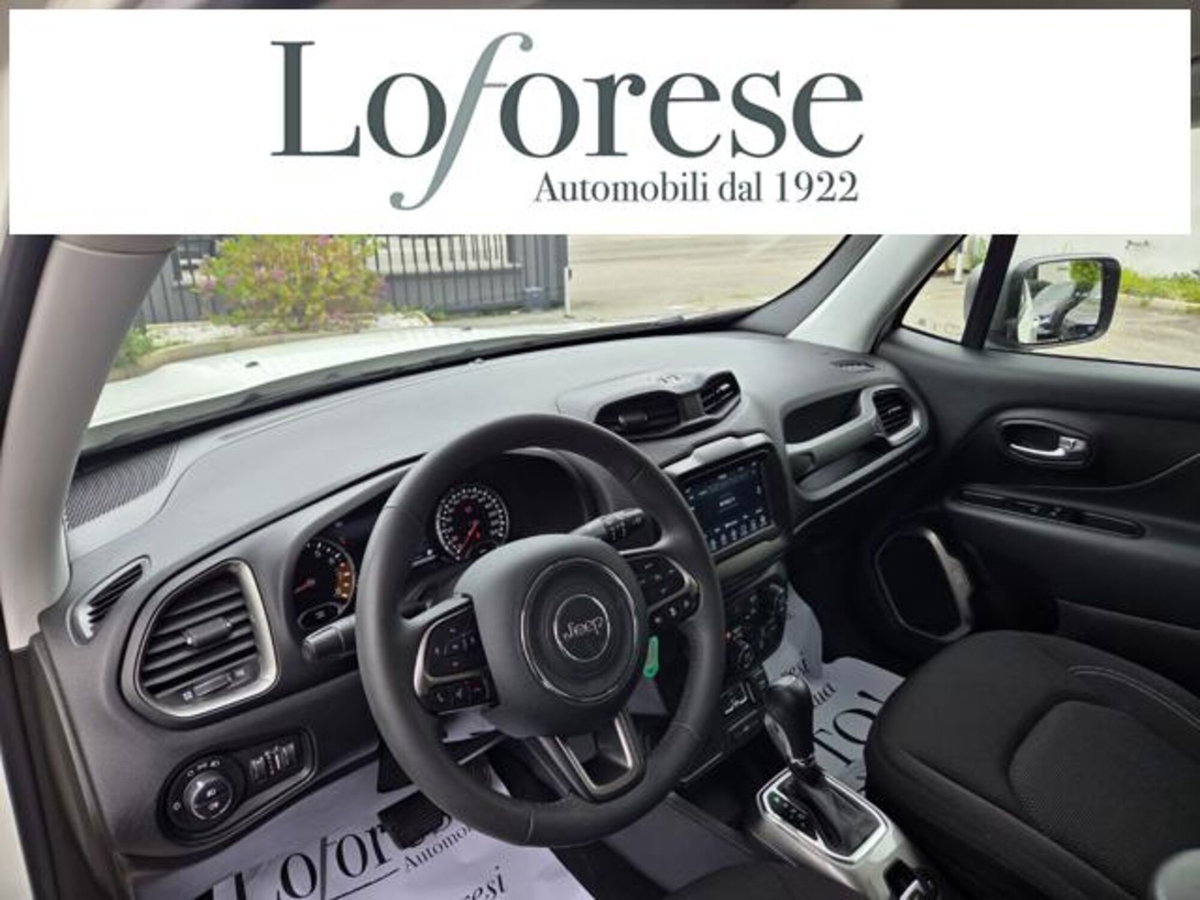 Jeep Renegade 1.3 T4 DDCT Limited (15)