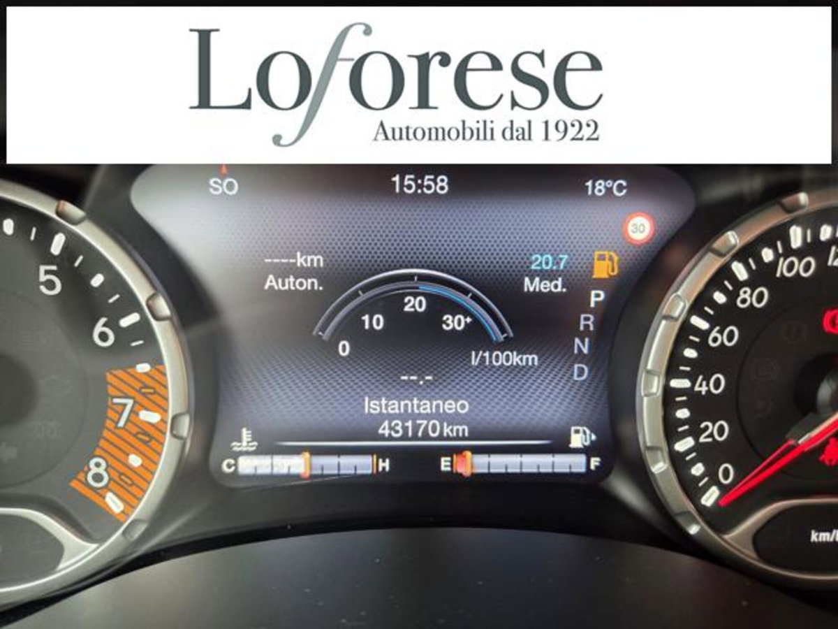 Jeep Renegade 1.3 T4 DDCT Limited (16)