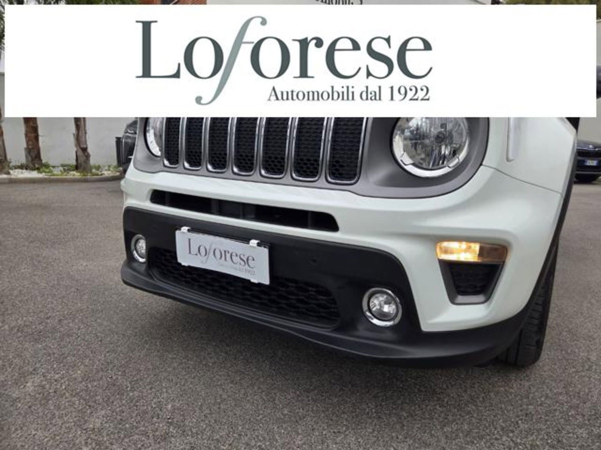 Jeep Renegade 1.3 T4 DDCT Limited (2)