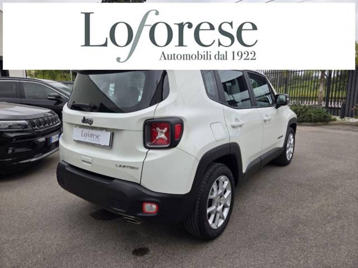 Jeep Renegade 1.3 T4 DDCT Limited (4)