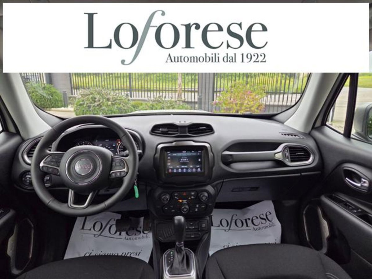 Jeep Renegade 1.3 T4 DDCT Limited (8)