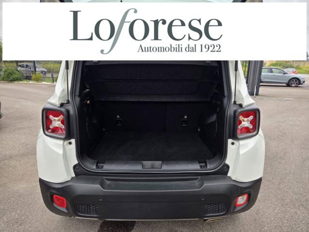 Jeep Renegade 1.3 T4 DDCT Limited (9)