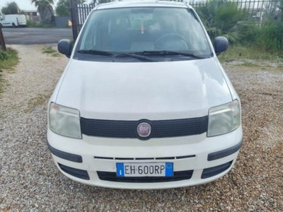 Fiat Panda 1.2 Active usata